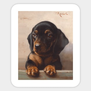 Dachshund Puppy (circa 1900) by Carl Reichert Sticker